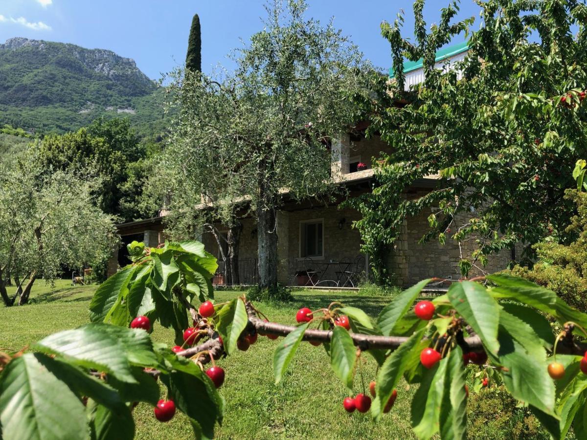 Bed and Breakfast La Cascata Negli Ulivi Тосколано-Мадерно Экстерьер фото